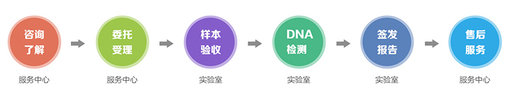 北京隐私亲子鉴定流程